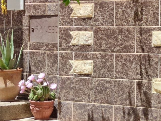 Aloe Orient Team - Oujda - +212 661-093293