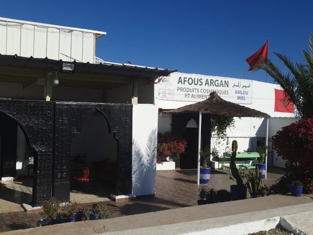 Afous Argan
