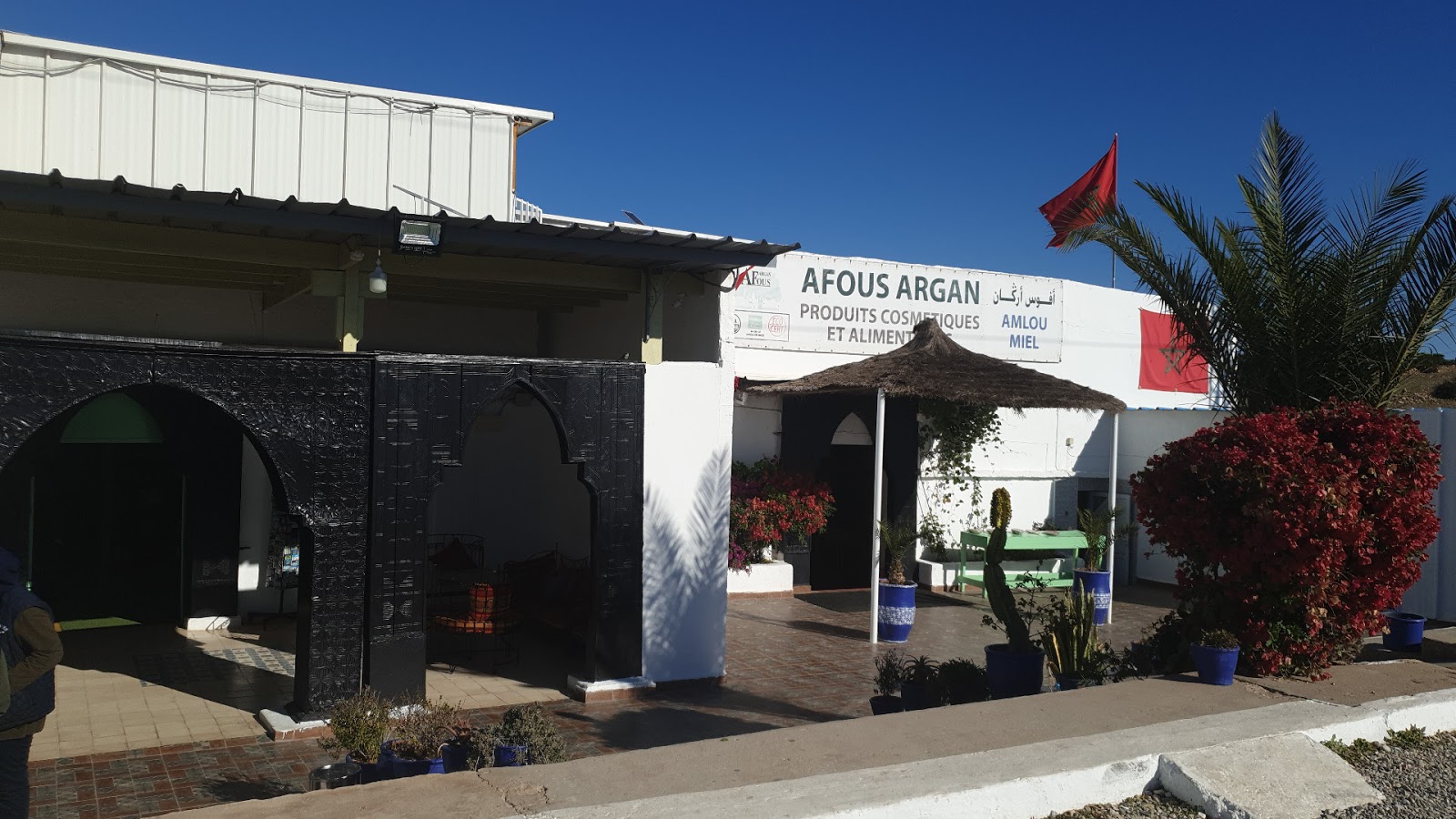 Afous Argan