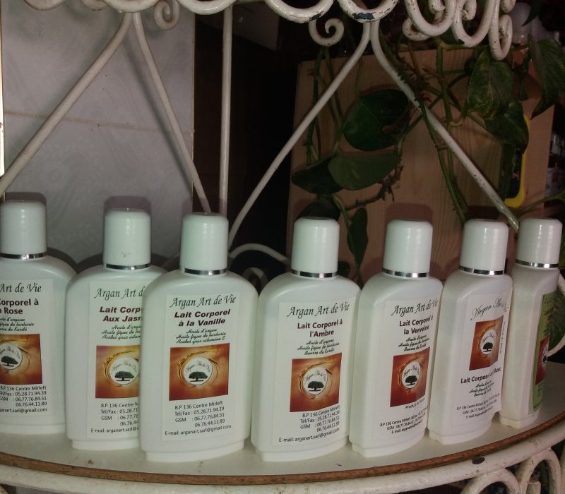 Sté Argan Art de Vie ( l'huile d'argan maroc ) - Mirleft