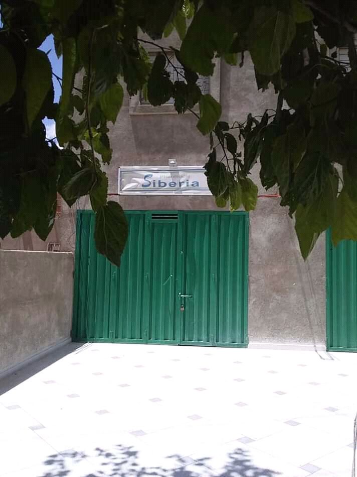 Pharmacy Siberia