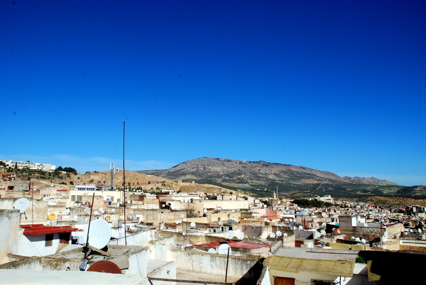Dar Hafsa
