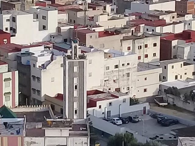 Farmacia twila3