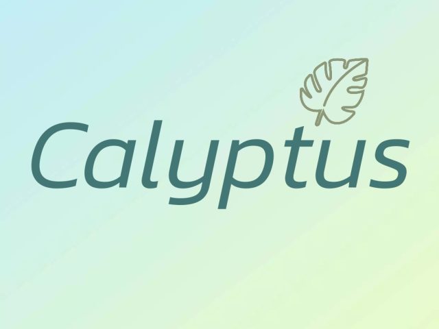 Calyptus -  - +212 621-808739