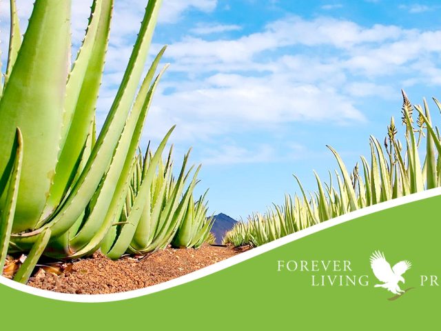 Forever Living Products - Nador - +212 668-333490