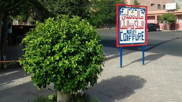 صالون نيلي للحلاقة العليا-Coiffure Nayli - Timoulilte - +212 623-887060