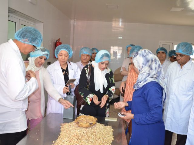 cooperative agricole tamaynoute azrarag - Azrarag - +212 662-129709