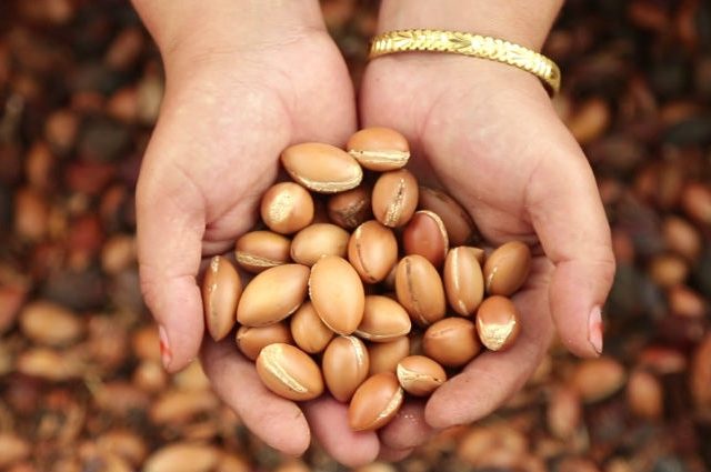 ARGAN DU MAROC THE MOROCCAN OIL SELECTION