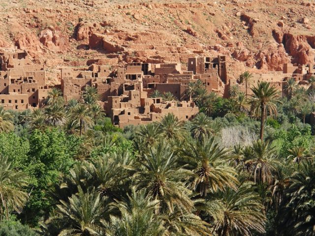 Palmeraie Guesthouse - Tinghir - +212 5248-95209