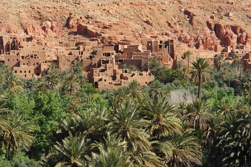 Palmeraie Guesthouse - Tinghir