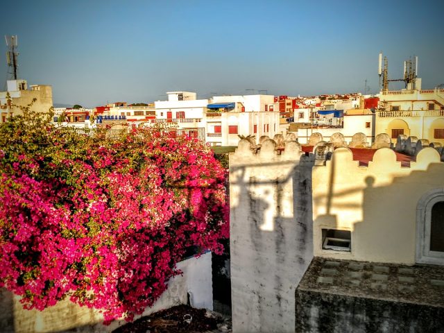 Dar Tabia - Asilah - +212 611-985338