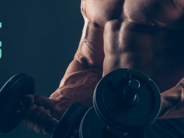 Chaddad Gym