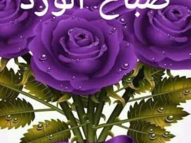 Hamam moussa Dr saka - Sidi Yahya du Rharb - +212 667-821261
