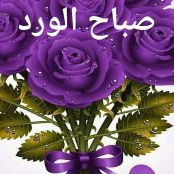 Hamam moussa Dr saka