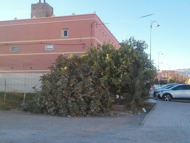Hammam Aljaouhara - Errachidia -
