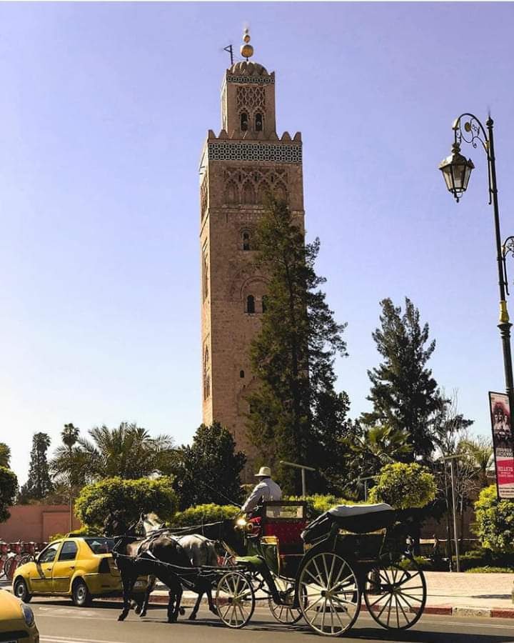 hammam romia