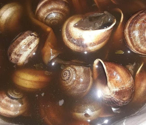 حمام و دوش طريق طايرت - Oujda -