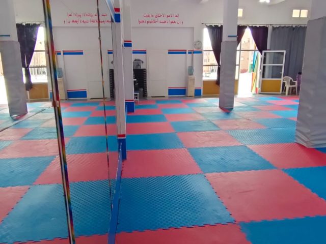 Cubs Society for the sport of Taekwondo