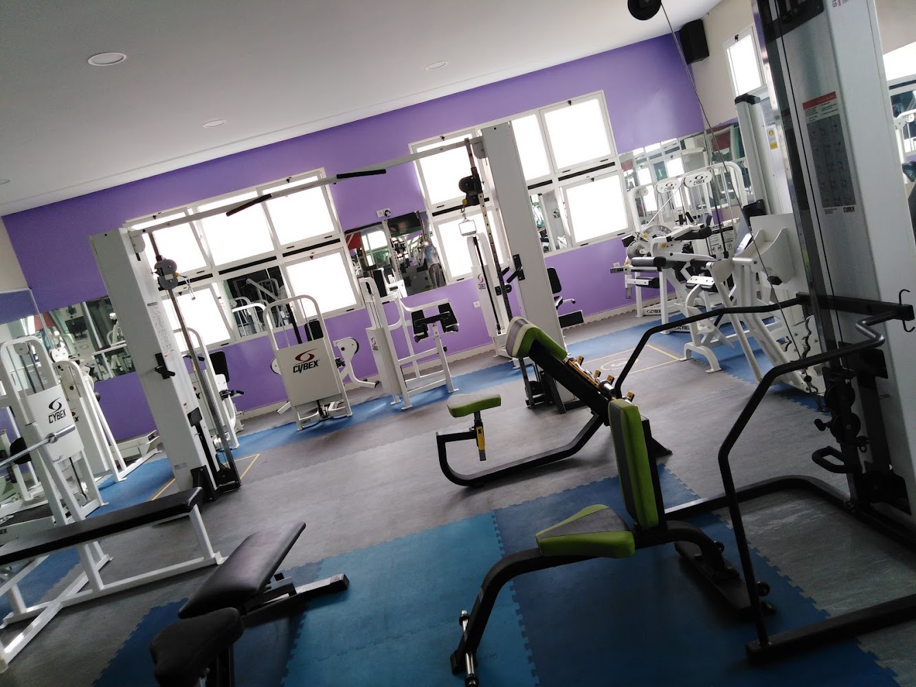 ORO GYM