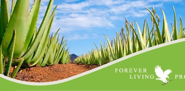 Forever Agadir - Agadir - +212 677-162570