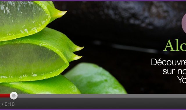 Aloe Vera Maroc - Régime Svelte - Rabat - +212 610-210945