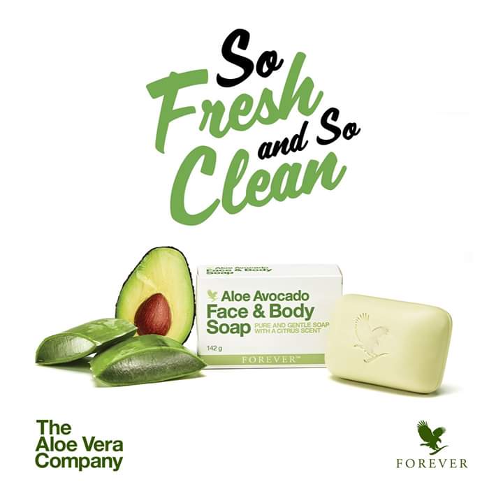 Aloe Vera Products - Tanger