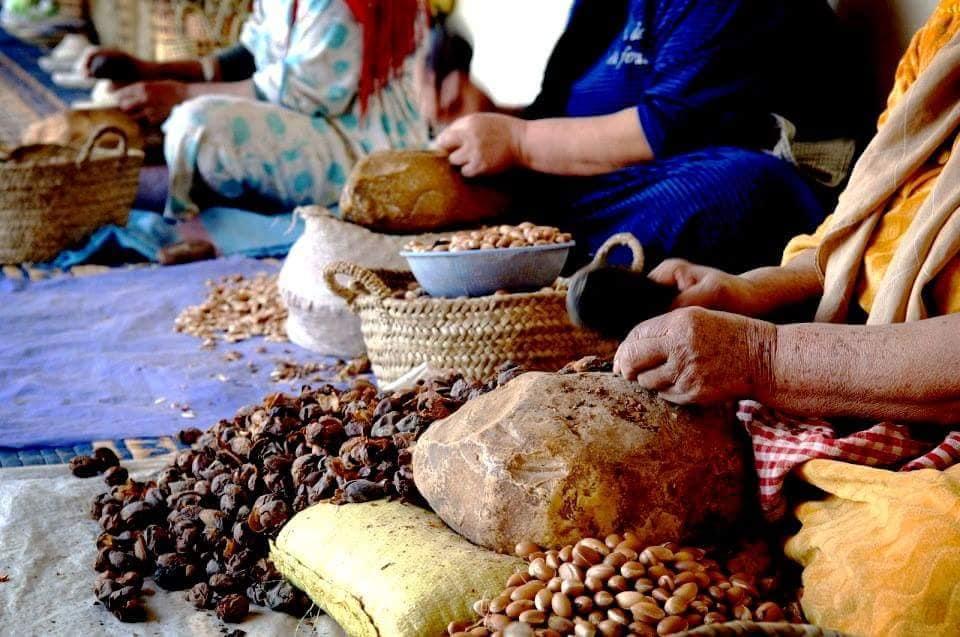 COOPÉRATIVE ARGANIUM D’ARGAN ESSAOUIRA