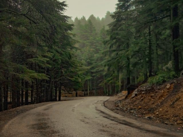 Moroccan Green Roads - Casablanca - +212 762-242313