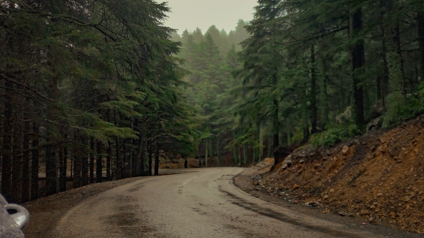 Moroccan Green Roads - Casablanca