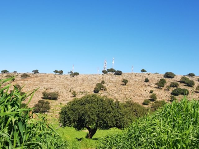 EFAS - Ait Amira - +212 5282-16575