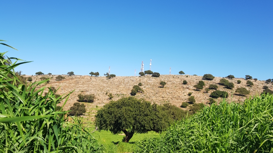 EFAS - Ait Amira