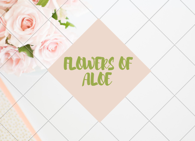 FLOWERS OF ALOE - Sala Al Jadida - +212 668-273297