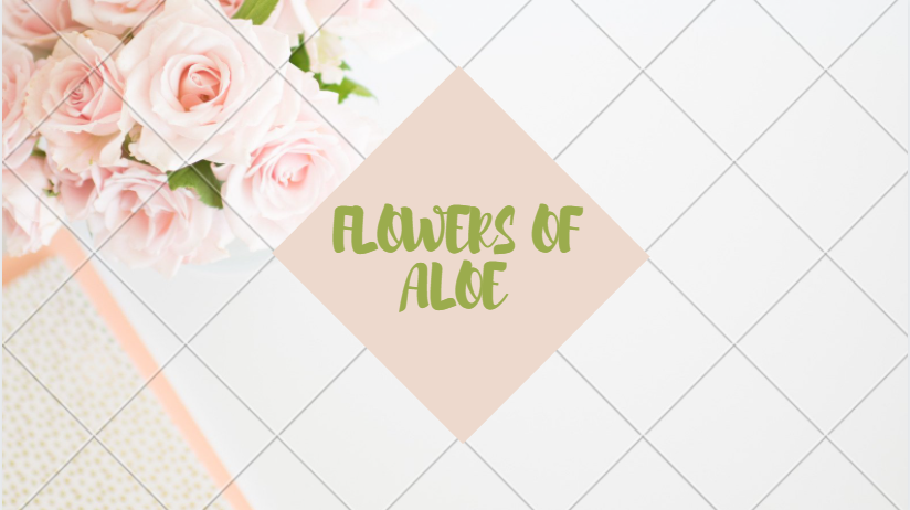 FLOWERS OF ALOE - Sala Al Jadida