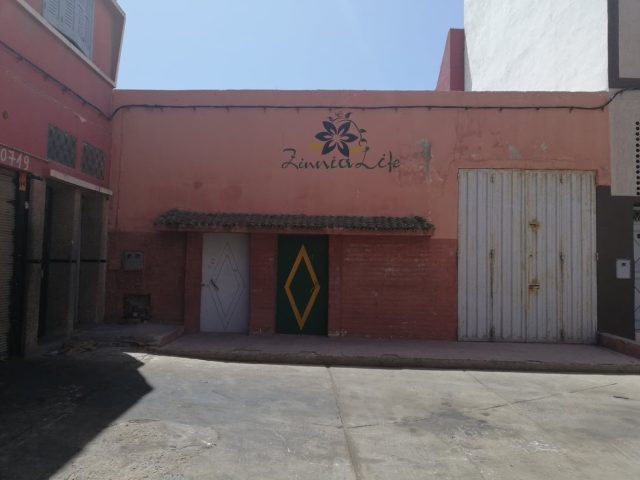 Société Zinnialife sarl - Safi - +212 5246-10941