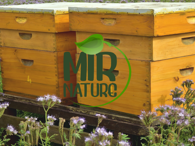 MirNature - Mirleft - +212 669-112112