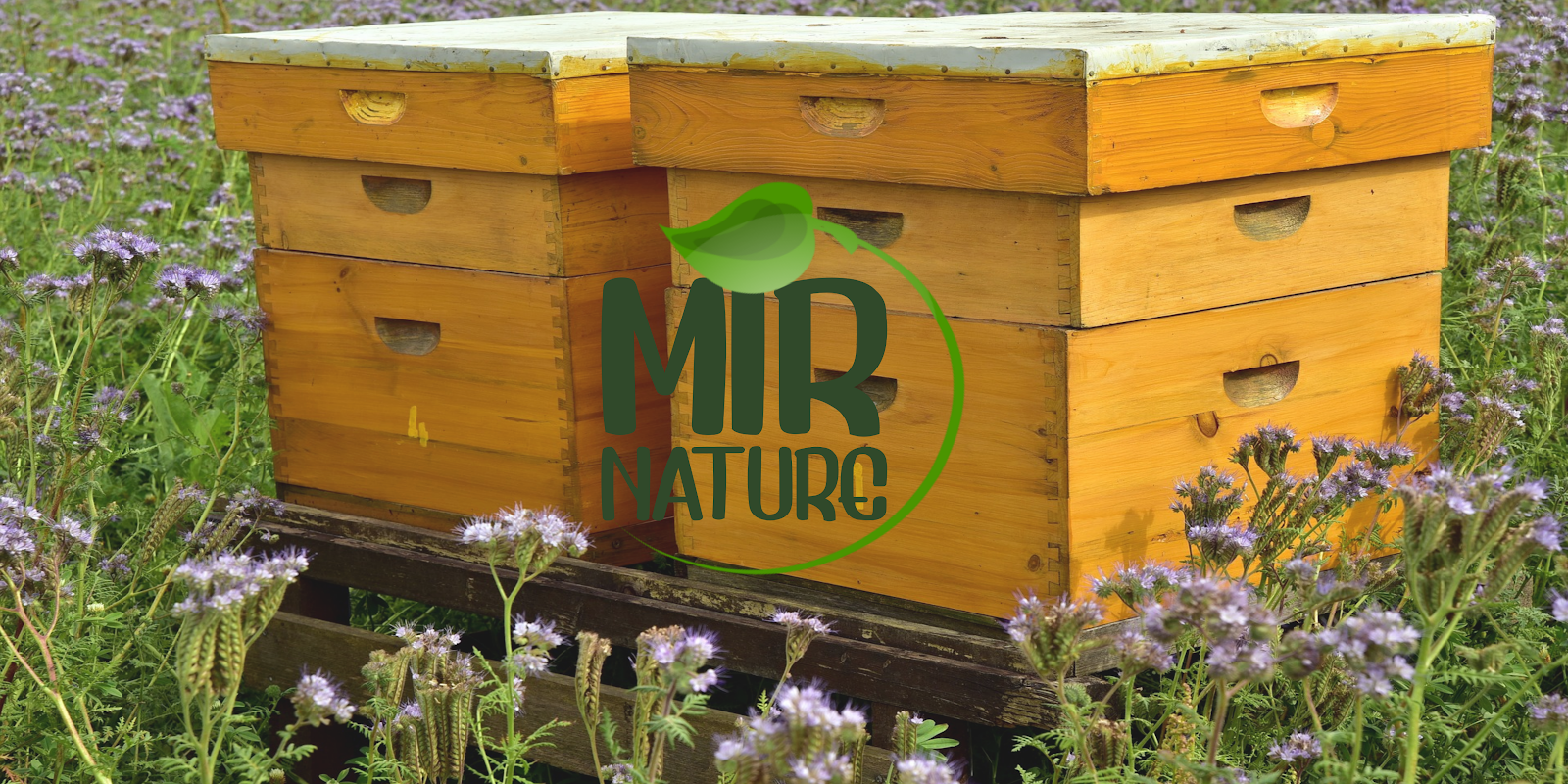 MirNature