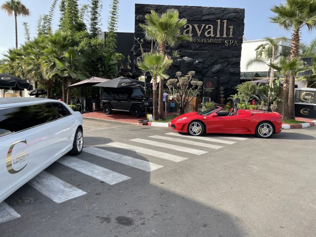 Cavallispa