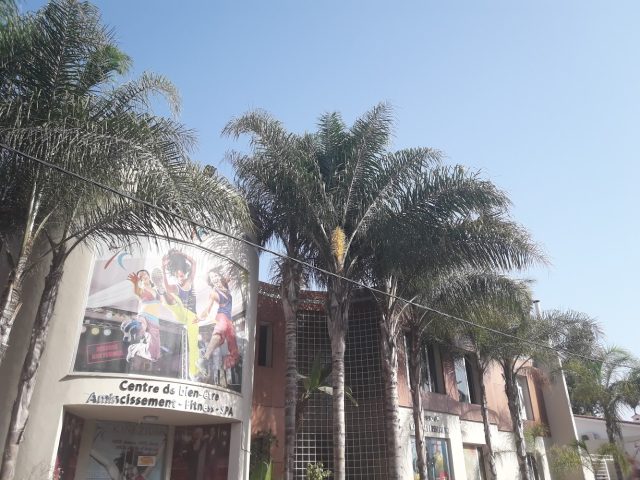 Centre de Sport Et de Bien Être Kinezium - Casablanca - +212 5228-24477