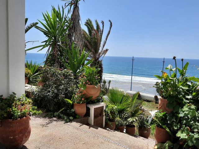 Villa Nora - Moulay-Bousselham - +212 5374-32071