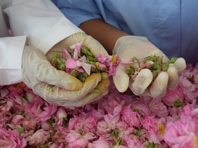 COOPERATIVE AGRICOL WOROUD WAHAT DADES