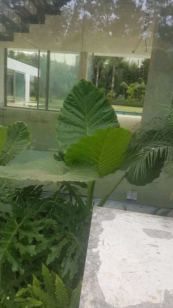 treelife bio maroc - Kénitra