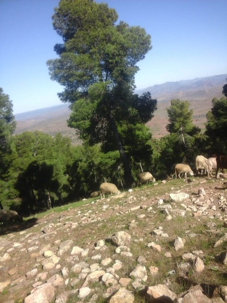 El atifi - Aït er Rahal