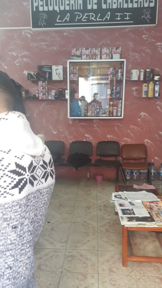 peluqueria la perla 2