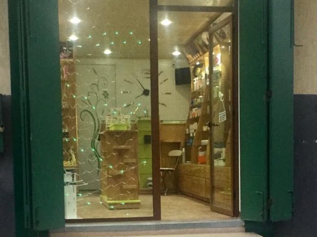 Au camélia para - Salé - +212 611-947203