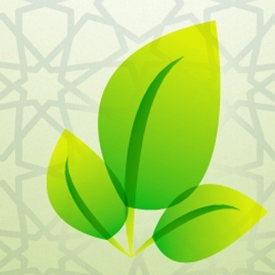 Maachaballamalikalhauari -  - +212 694-645257