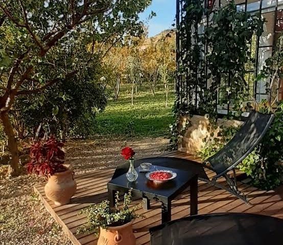 Le Verger d’Azrou - Azrou - +212 649-213030
