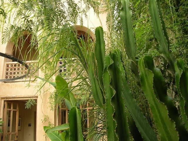 DarZahia - Taroudant - +212 5288-50801