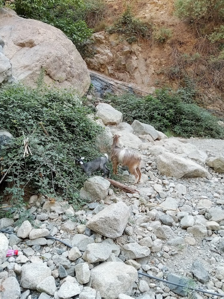 Association des accompagnateurs des montagnes - Setti-Fatma