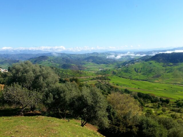 دوار بقالة - Haddarine -