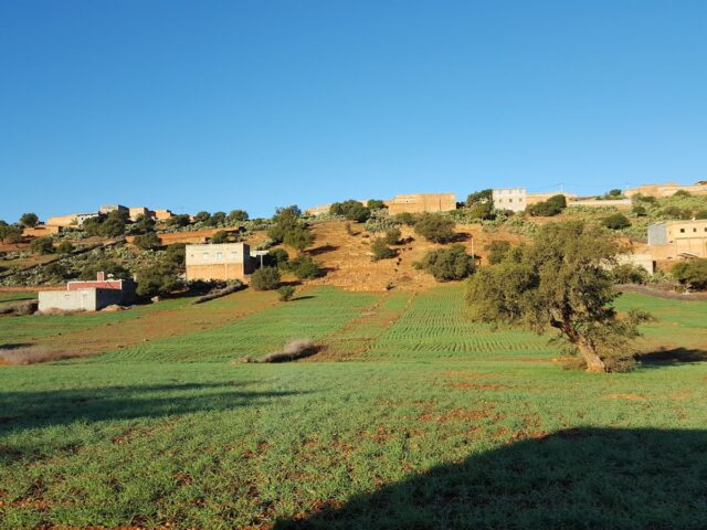 Association Doutourirte Abakarim Abdellah - Doutourirte -